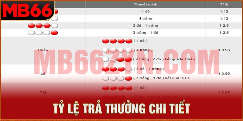 Những thông tin cần nắm về hình thức trò chơi thú vị này